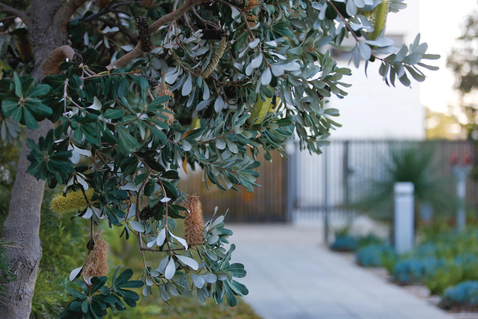 landscape maintenance