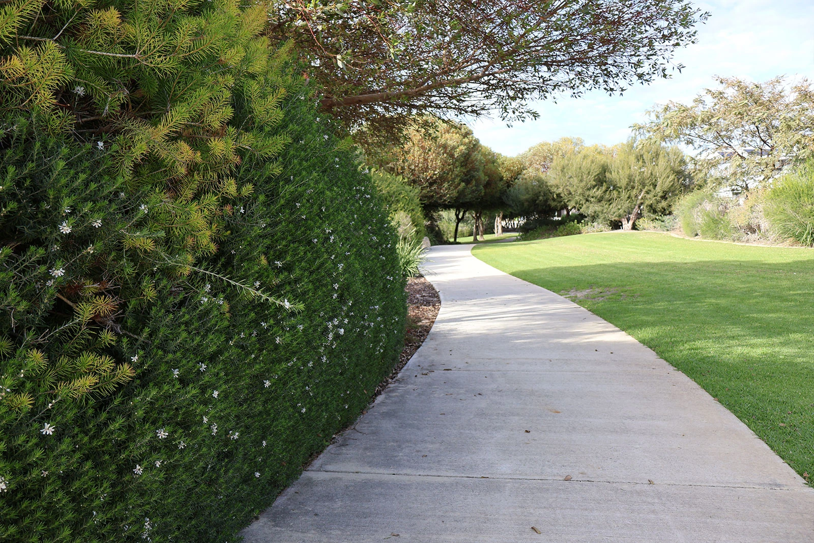 Landscape maintenance