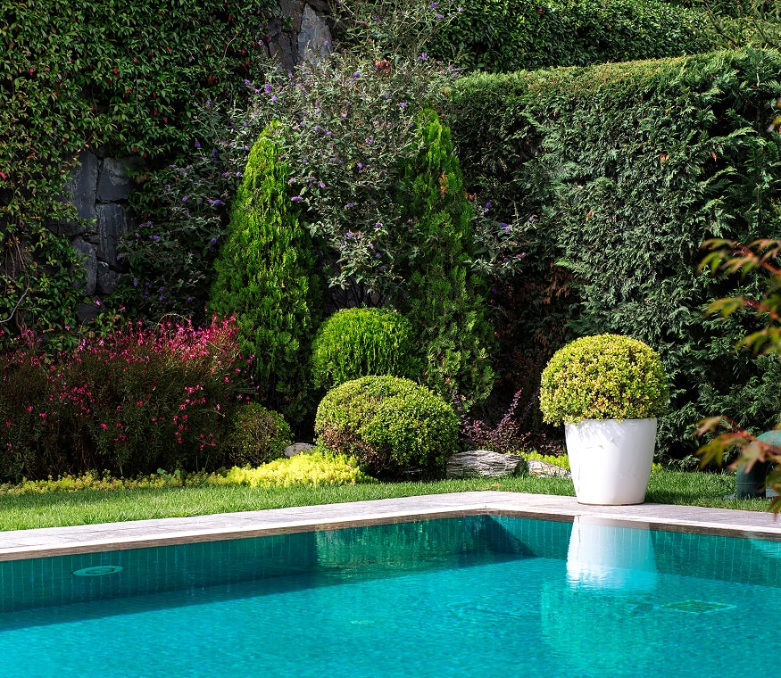 custom-image-028-copyright